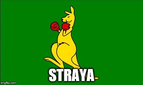 Boxing Kangaroo | STRAYA | image tagged in boxing kangaroo | made w/ Imgflip meme maker