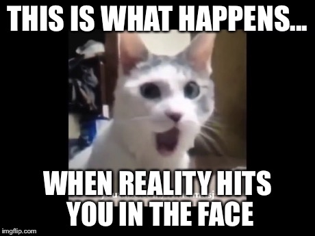 OMG | THIS IS WHAT HAPPENS... WHEN REALITY HITS YOU IN THE FACE | image tagged in omg | made w/ Imgflip meme maker