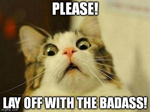 Scared Cat Meme | PLEASE! LAY OFF WITH THE BADASS! | image tagged in memes,scared cat | made w/ Imgflip meme maker