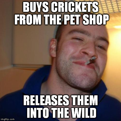 Good Guy Greg Meme | BUYS CRICKETS FROM THE PET SHOP RELEASES THEM INTO THE WILD | image tagged in memes,good guy greg | made w/ Imgflip meme maker