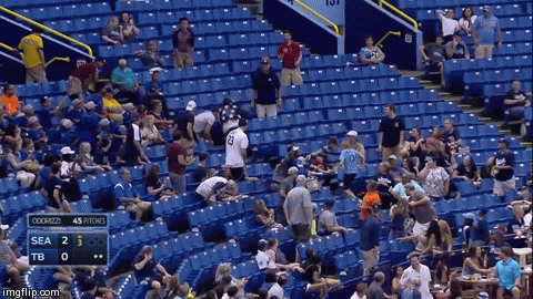 Patriotic fan snags foul ball, dances like crazy | image tagged in gifs | made w/ Imgflip video-to-gif maker