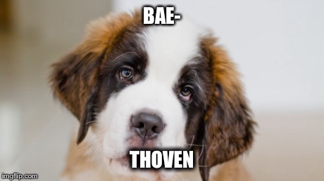 BAETHOVEN | BAE- THOVEN | image tagged in bae,st bernard,baby dog | made w/ Imgflip meme maker