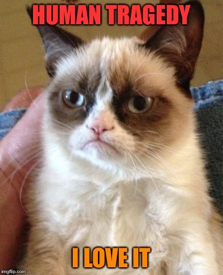 Grumpy Cat Meme | HUMAN TRAGEDY I LOVE IT | image tagged in memes,grumpy cat | made w/ Imgflip meme maker