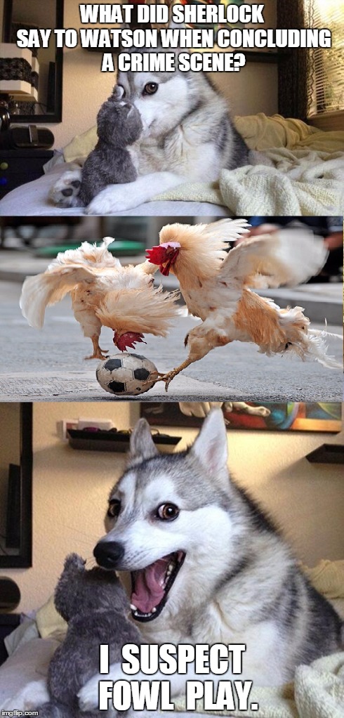 WHAT DID SHERLOCK SAY TO WATSON WHEN CONCLUDING A CRIME SCENE? I  SUSPECT  FOWL  PLAY. | image tagged in bad pun dog,imgflip,memes | made w/ Imgflip meme maker