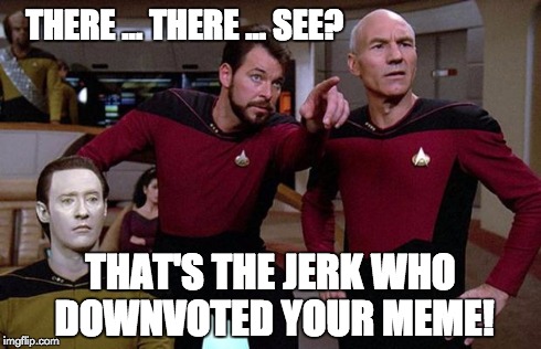pointy riker | THERE ... THERE ... SEE? THAT'S THE JERK WHO DOWNVOTED YOUR MEME! | image tagged in pointy riker | made w/ Imgflip meme maker