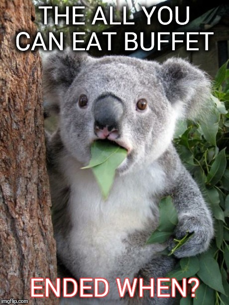 Them Leaves Ain't Free Koala! | THE ALL YOU CAN EAT BUFFET ENDED WHEN? | image tagged in memes,surprised koala | made w/ Imgflip meme maker