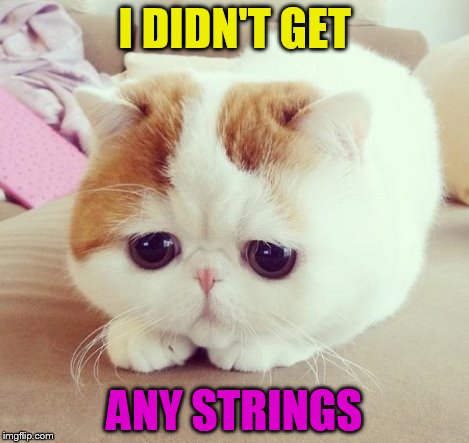 sad cat 2 | I DIDN'T GET ANY STRINGS | image tagged in sad cat 2 | made w/ Imgflip meme maker