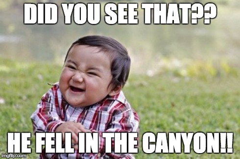 Evil Toddler Meme | DID YOU SEE THAT?? HE FELL IN THE CANYON!! | image tagged in memes,evil toddler | made w/ Imgflip meme maker