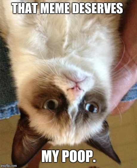 Grumpy Cat Meme | THAT MEME DESERVES MY POOP. | image tagged in memes,grumpy cat | made w/ Imgflip meme maker