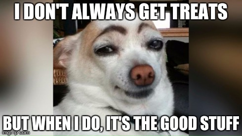 I DON'T ALWAYS GET TREATS BUT WHEN I DO, IT'S THE GOOD STUFF | image tagged in dog | made w/ Imgflip meme maker