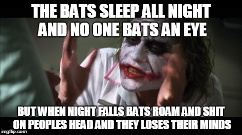 And everybody loses their minds Meme | THE BATS SLEEP ALL NIGHT AND NO ONE BATS AN EYE BUT WHEN NIGHT FALLS BATS ROAM AND SHIT ON PEOPLES HEAD AND THEY LOSES THEIR MINDS | image tagged in memes,and everybody loses their minds | made w/ Imgflip meme maker