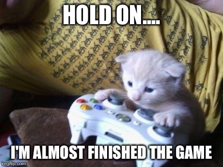 cat on xbox | HOLD ON.... I'M ALMOST FINISHED THE GAME | image tagged in cat on xbox | made w/ Imgflip meme maker