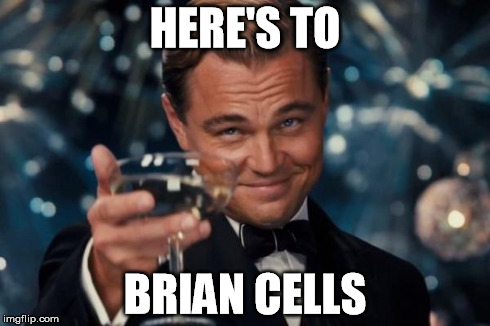 When too much is obvious
 | HERE'S TO BRIAN CELLS | image tagged in memes,leonardo dicaprio cheers | made w/ Imgflip meme maker