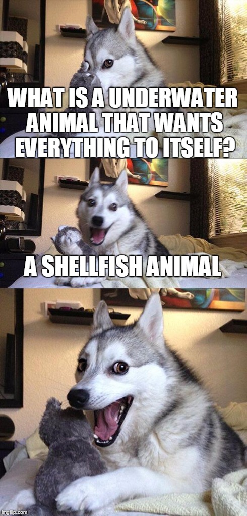 Bad Pun Dog Meme | WHAT IS A UNDERWATER ANIMAL THAT WANTS EVERYTHING TO ITSELF? A SHELLFISH ANIMAL | image tagged in memes,bad pun dog | made w/ Imgflip meme maker
