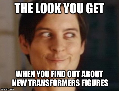 Spiderman Peter Parker | THE LOOK YOU GET WHEN YOU FIND OUT ABOUT NEW TRANSFORMERS FIGURES | image tagged in memes,spiderman peter parker | made w/ Imgflip meme maker