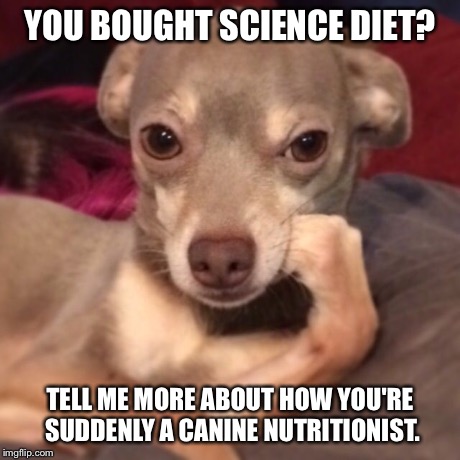CondescendingChihuahua | YOU BOUGHT SCIENCE DIET? TELL ME MORE ABOUT HOW YOU'RE SUDDENLY A CANINE NUTRITIONIST. | image tagged in condescendingchihuahua | made w/ Imgflip meme maker