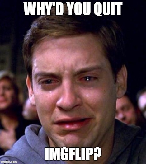 Peter Parker cry | WHY'D YOU QUIT IMGFLIP? | image tagged in peter parker cry | made w/ Imgflip meme maker