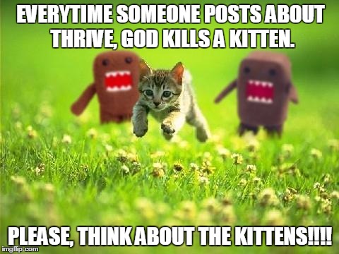 Kittens | EVERYTIME SOMEONE POSTS ABOUT THRIVE, GOD KILLS A KITTEN. PLEASE, THINK ABOUT THE KITTENS!!!! | image tagged in kittens | made w/ Imgflip meme maker