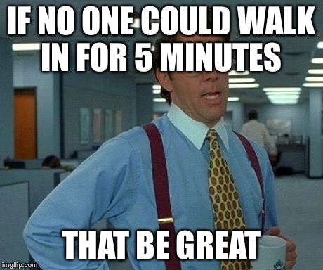 That Would Be Great | IF NO ONE COULD WALK IN FOR 5 MINUTES THAT BE GREAT | image tagged in memes,that would be great,AdviceAnimals | made w/ Imgflip meme maker