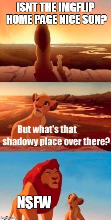 Simba Shadowy Place | ISNT THE IMGFLIP HOME PAGE NICE SON? NSFW | image tagged in memes,simba shadowy place | made w/ Imgflip meme maker
