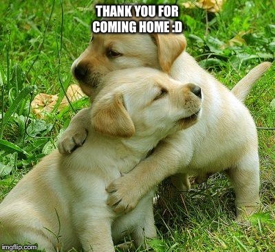 Puppy I love bro | THANK YOU FOR COMING HOME :D | image tagged in puppy i love bro | made w/ Imgflip meme maker