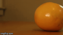 2 fab 4 u | image tagged in gifs,funny | made w/ Imgflip video-to-gif maker