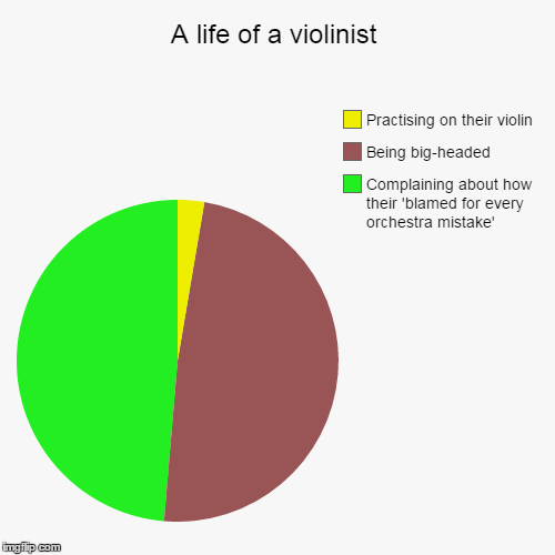A life of the a (big-headed) violinist | image tagged in pie charts,big-headed,violin,violinists,orchestra,funny music | made w/ Imgflip chart maker