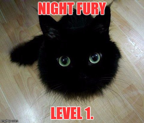 NIGHT FURY LEVEL 1. | image tagged in humor,cats | made w/ Imgflip meme maker