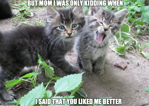 Moms favorite | BUT MOM I WAS ONLY KIDDING WHEN I SAID THAT YOU LIKED ME BETTER | image tagged in funny cats | made w/ Imgflip meme maker