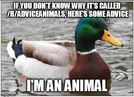 Actual Advice Mallard | IF YOU DON'T KNOW WHY IT'S CALLED /R/ADVICEANIMALS, HERE'S SOME ADVICE I'M AN ANIMAL | image tagged in memes,actual advice mallard | made w/ Imgflip meme maker