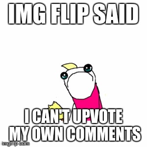 It also called me silly | IMG FLIP SAID I CAN'T UPVOTE MY OWN COMMENTS | image tagged in memes,sad x all the y | made w/ Imgflip meme maker
