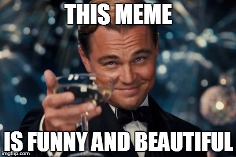 Leonardo Dicaprio Cheers Meme | THIS MEME IS FUNNY AND BEAUTIFUL | image tagged in memes,leonardo dicaprio cheers | made w/ Imgflip meme maker