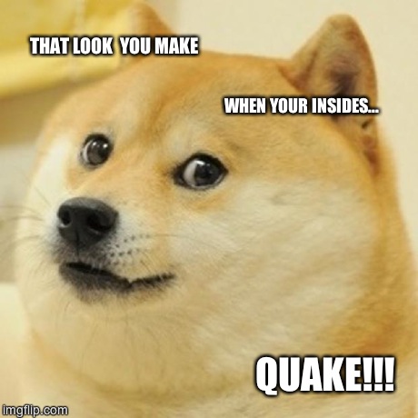 Doge | THAT LOOK  YOU MAKE WHEN YOUR INSIDES... QUAKE!!! | image tagged in memes,doge | made w/ Imgflip meme maker