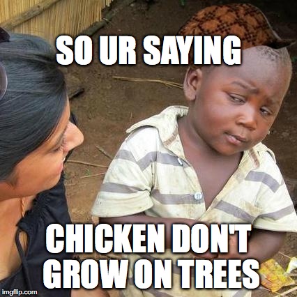 Third World Skeptical Kid Meme | SO UR SAYING CHICKEN DON'T GROW ON TREES | image tagged in memes,third world skeptical kid,scumbag | made w/ Imgflip meme maker