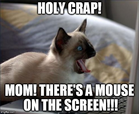 RAGE KITTY | HOLY CRAP! MOM! THERE'S A MOUSE ON THE SCREEN!!! | image tagged in rage kitty | made w/ Imgflip meme maker