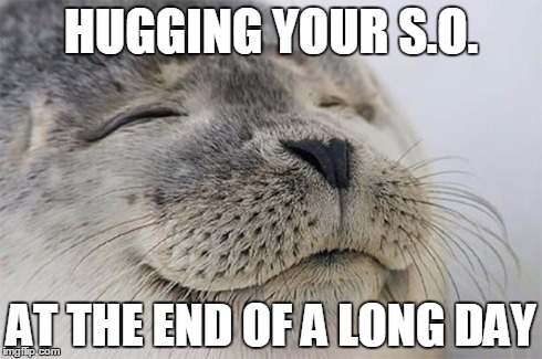 Satisfied Seal Meme | HUGGING YOUR S.O. AT THE END OF A LONG DAY | image tagged in memes,satisfied seal,AdviceAnimals | made w/ Imgflip meme maker