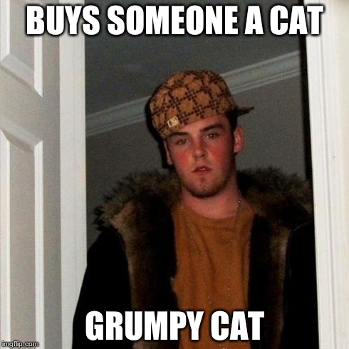Scumbag Steve | BUYS SOMEONE A CAT GRUMPY CAT | image tagged in memes,scumbag steve | made w/ Imgflip meme maker