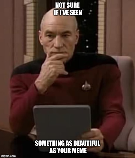 picard thinking | NOT SURE IF I'VE SEEN SOMETHING AS BEAUTIFUL AS YOUR MEME | image tagged in picard thinking | made w/ Imgflip meme maker