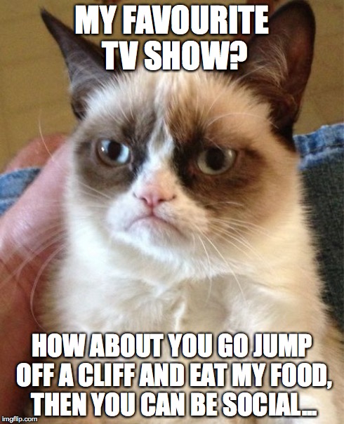 Grumpy Cat | MY FAVOURITE TV SHOW? HOW ABOUT YOU GO JUMP OFF A CLIFF AND EAT MY FOOD, THEN YOU CAN BE SOCIAL... | image tagged in memes,grumpy cat | made w/ Imgflip meme maker