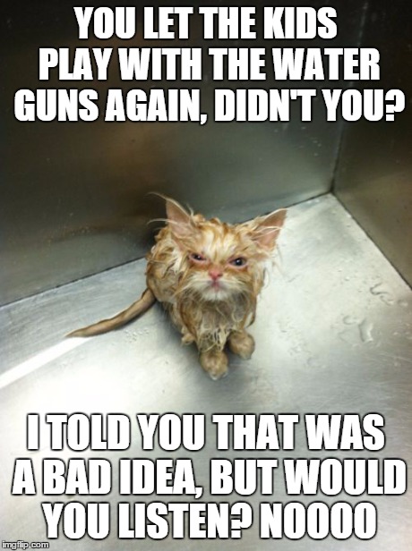 Kill You Cat | YOU LET THE KIDS PLAY WITH THE WATER GUNS AGAIN, DIDN'T YOU? I TOLD YOU THAT WAS A BAD IDEA, BUT WOULD YOU LISTEN? NOOOO | image tagged in memes,kill you cat | made w/ Imgflip meme maker