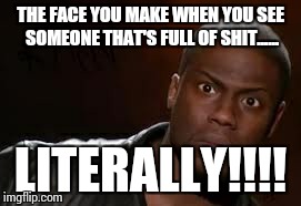 Kevin Hart | THE FACE YOU MAKE WHEN YOU SEE SOMEONE THAT'S FULL OF SHIT...... LITERALLY!!!! | image tagged in memes,kevin hart the hell | made w/ Imgflip meme maker