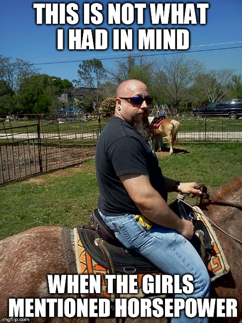 baldy locks | THIS IS NOT WHAT I HAD IN MIND WHEN THE GIRLS MENTIONED HORSEPOWER | image tagged in handsome,horse,horsepower,riding,bald | made w/ Imgflip meme maker