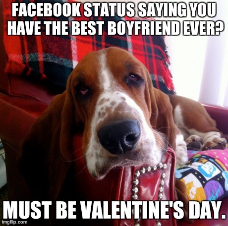 image tagged in funny,dogs,valentines | made w/ Imgflip meme maker