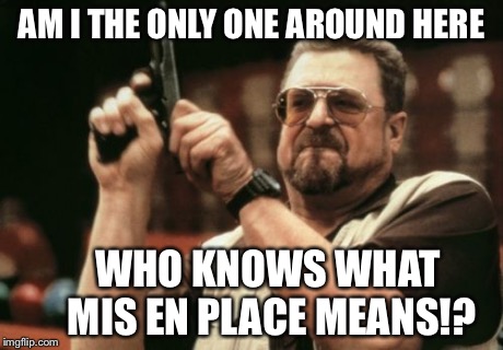 Am I The Only One Around Here | AM I THE ONLY ONE AROUND HERE WHO KNOWS WHAT     MIS EN PLACE MEANS!? | image tagged in memes,am i the only one around here | made w/ Imgflip meme maker