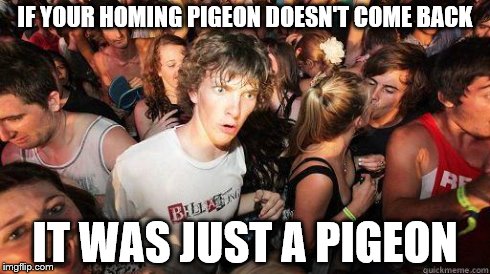 Sudden Realization | IF YOUR HOMING PIGEON DOESN'T COME BACK IT WAS JUST A PIGEON | image tagged in sudden realization | made w/ Imgflip meme maker