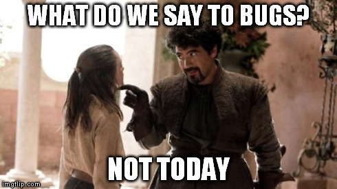 Not Today | WHAT DO WE SAY TO BUGS? NOT TODAY | image tagged in not today | made w/ Imgflip meme maker