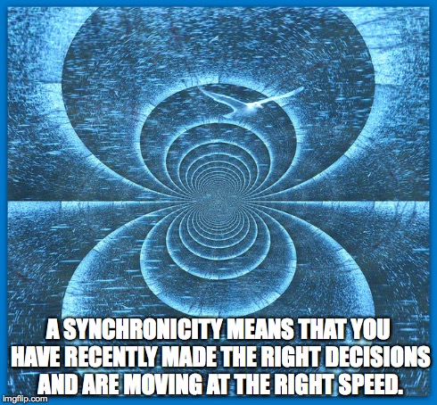 Synchronicity | A SYNCHRONICITY MEANS THAT YOU HAVE RECENTLY MADE THE RIGHT DECISIONS AND ARE MOVING AT THE RIGHT SPEED. | image tagged in synchronicity,deja vu,coincidense,metaphysics,carl jung,jonathan livingston seagull | made w/ Imgflip meme maker