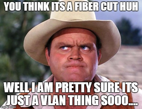 YOU THINK ITS A FIBER CUT HUH WELL I AM PRETTY SURE ITS JUST A VLAN THING SOOO.... | image tagged in telecom,internet,call center,are you fucking kidding me,special kind of stupid,big hoss | made w/ Imgflip meme maker