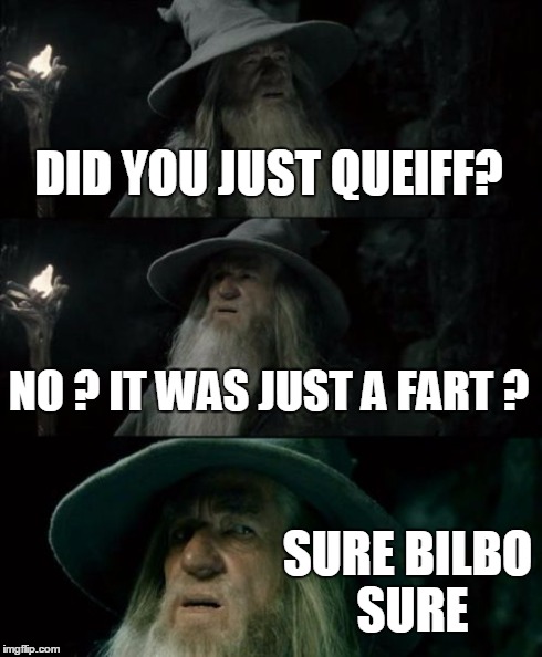 Confused Gandalf | DID YOU JUST QUEIFF? NO ? IT WAS JUST A FART ? SURE BILBO SURE | image tagged in memes,confused gandalf | made w/ Imgflip meme maker