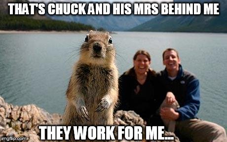 squrrelphotobomb | THAT'S CHUCK AND HIS MRS BEHIND ME THEY WORK FOR ME... | image tagged in squrrelphotobomb | made w/ Imgflip meme maker
